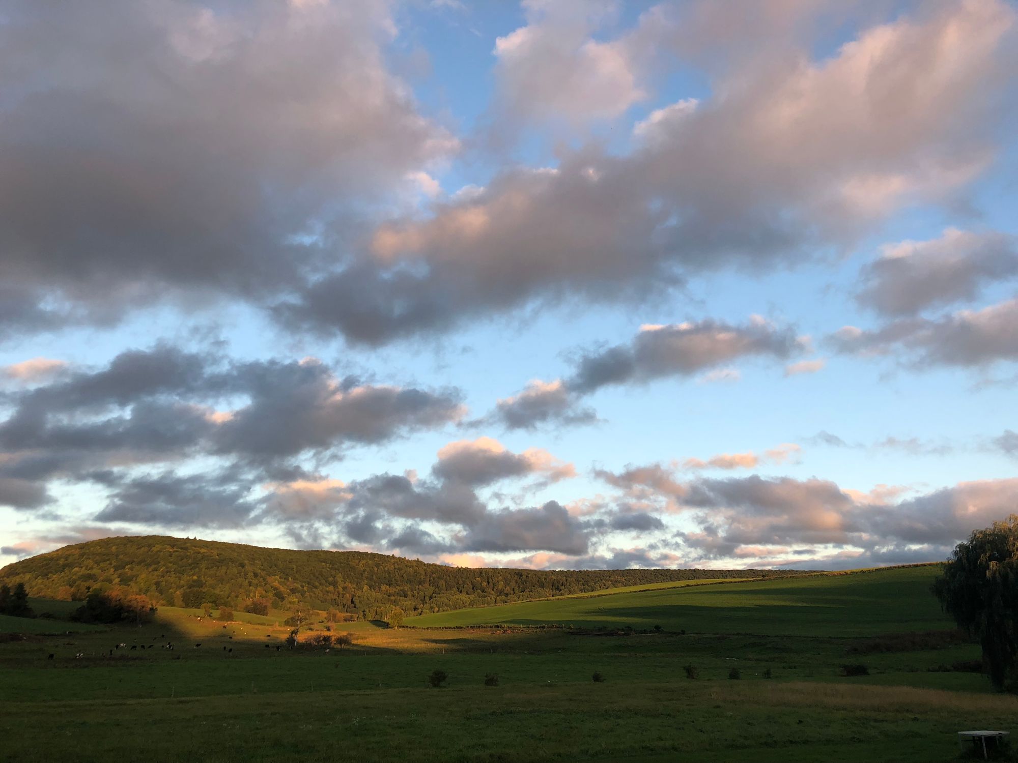 finding virtue in retreat